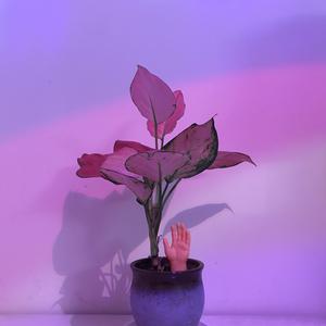 亚洲一区日韩高清中文字幕亚洲
